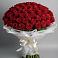 Букет 101 Красная роза Блэк Мэджик в Соколовом