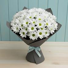 Букет цветов из:  Хризантемы в Соколовом