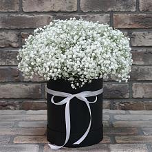 Цветочная композиция из Гипсофила в шляпной коробке в Соколовом