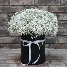 Цветочная композиция из Гипсофила в шляпной коробке в Соколовом